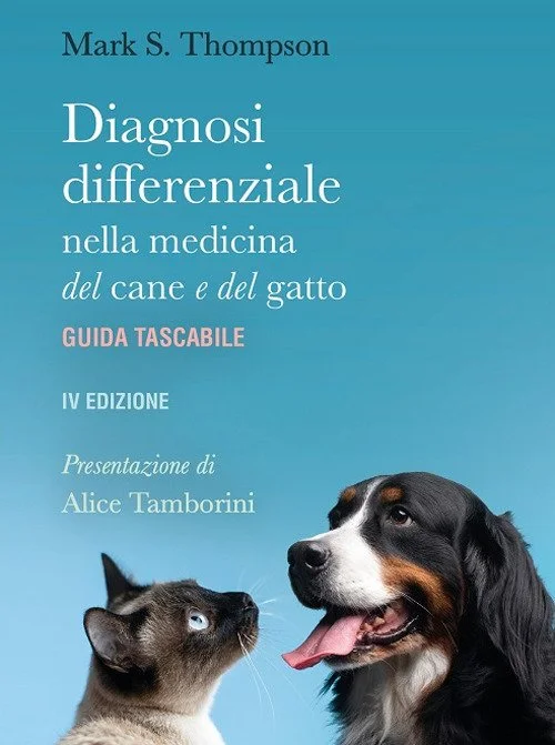 libreriacortinamilano-1202606221421541722969
