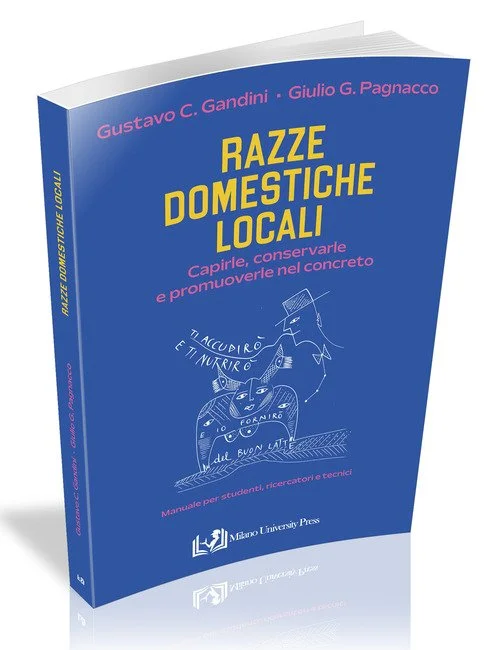 libreriacortinamilano-1202606221609031744716