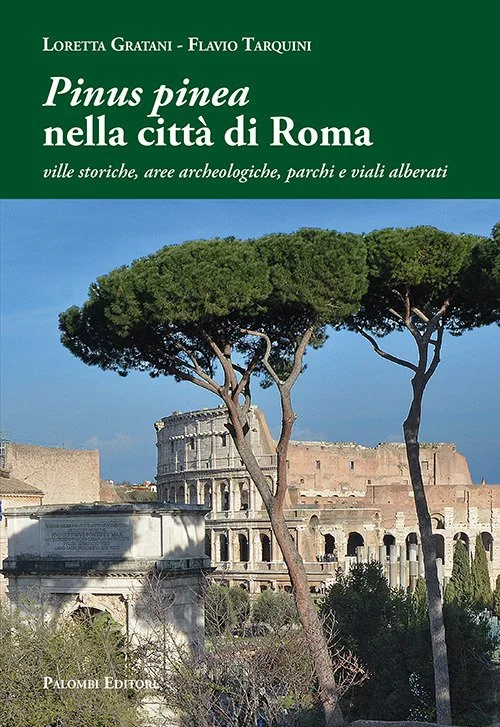libreriacortinamilano-1202606221829421773874