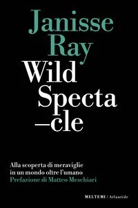 libreriacortinamilano-1202606222238171827323