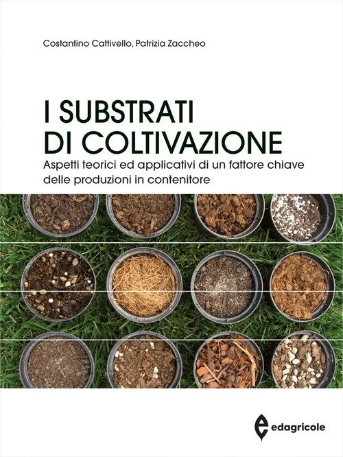libreriacortinamilano-1202606222312181835088
