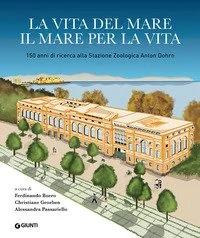 libreriacortinamilano-1202606230111041861799