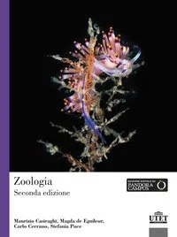 libreriacortinamilano-1202606230147591870047