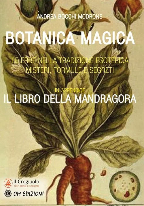 libreriacortinamilano-1202606230617241927575