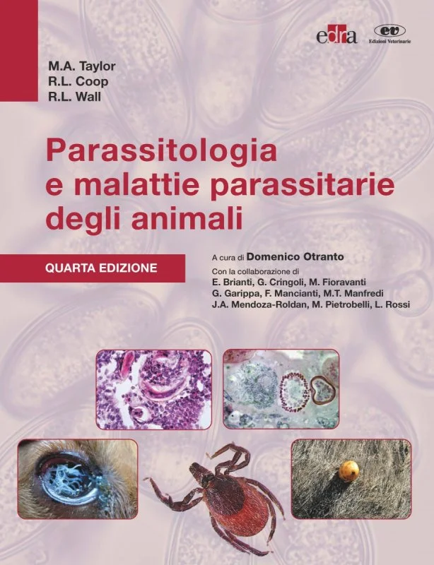 libreriacortinamilano-1202606230641571931814