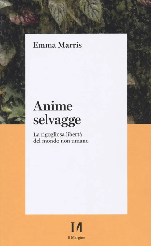 libreriacortinamilano-1202606230838391952980