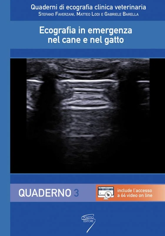 libreriacortinamilano-1202606231506552042935