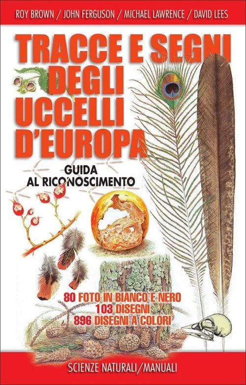 libreriacortinamilano-3202606231213012003222