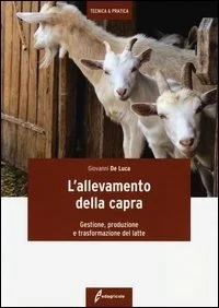 libreriacortinamilano-3202606240918452271349