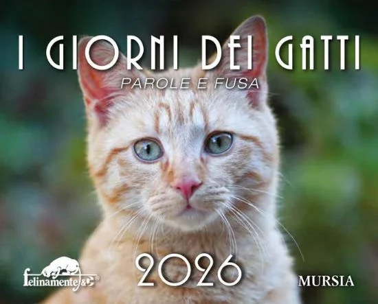 libreriadantealighieri-1202606221100261680682