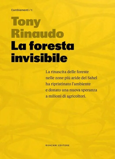 libreriadantealighieri-1202606221257531706685