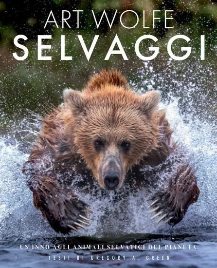libreriadantealighieri-1202606221532131737242