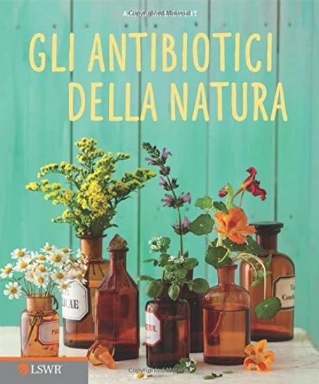 libreriadantealighieri-1202606222311111834833
