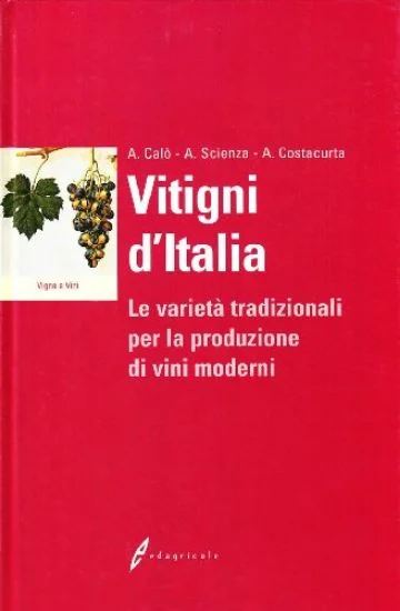 libreriadantealighieri-1202606230138291867964