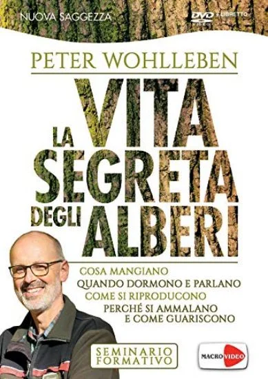 libreriadantealighieri-1202606230233071879845