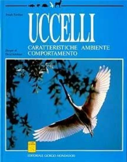 libreriadantealighieri-1202606230435091905930