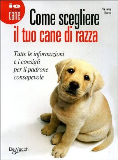 libreriadantealighieri-1202606230447491908714