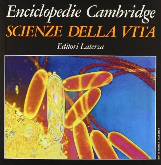 libreriadantealighieri-1202606230519151915958