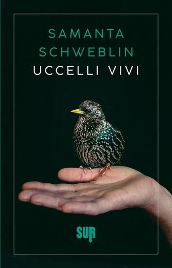 libreriadantealighieri-2202606231837592081961