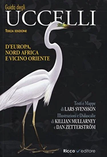 libreriadantealighieri-2202606240317522200760