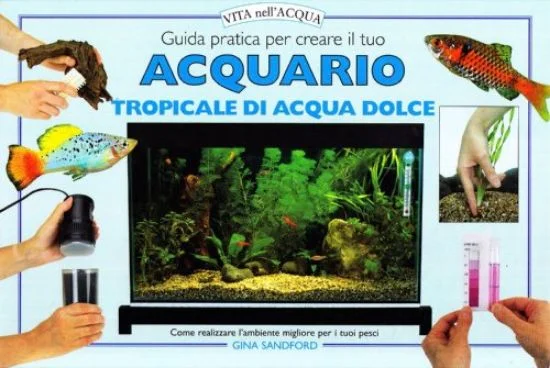libreriadantealighieri-2202606240612452236553