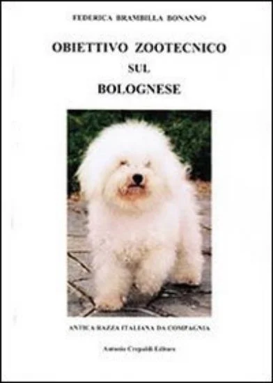 libreriadantealighieri-2202606240647352244262