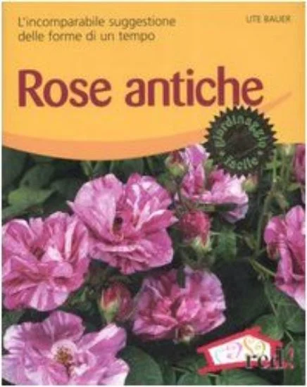 libreriadantealighieri-2202606240703522247920