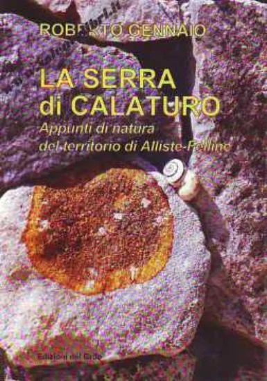 libreriadantealighieri-2202606240752492258947
