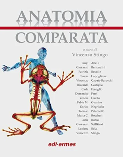 libreriadantealighieri-3202606240527252227286