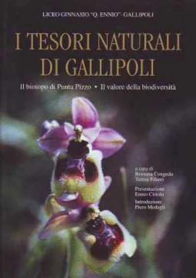 libreriadantealighieri-3202606240741442256498