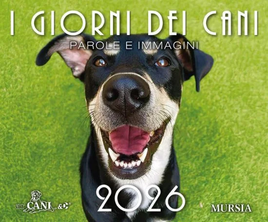 libreriadantealighieri-4202606231118501989380