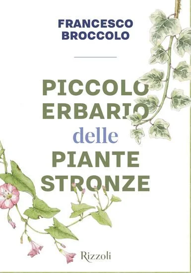 libreriadantealighieri-4202606231120411989870