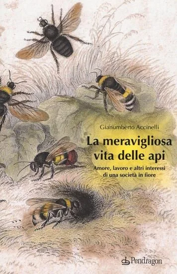 libreriadantealighieri-4202606231738402068292