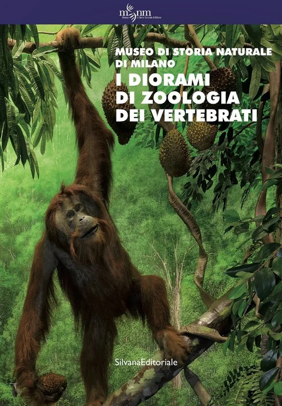 silvanaeditoriale202606221416191722159